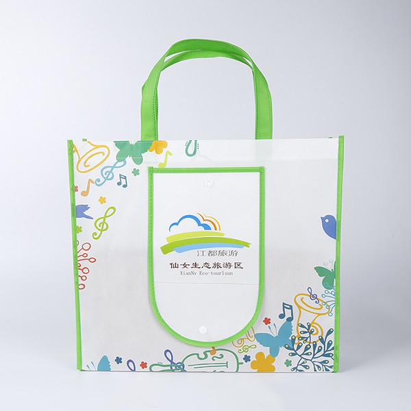 Reusable Non woven Grocery bag printed & bespoke Eco-friendly
