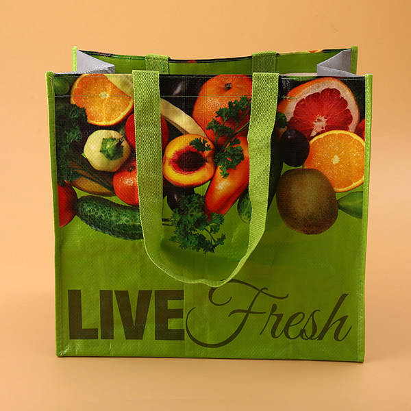 Wholesale Custom Waterproof Non Woven Bags with Handles
